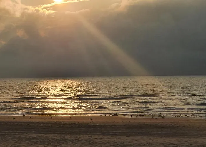 Hotel Scheveningen Sea Side Den Haag